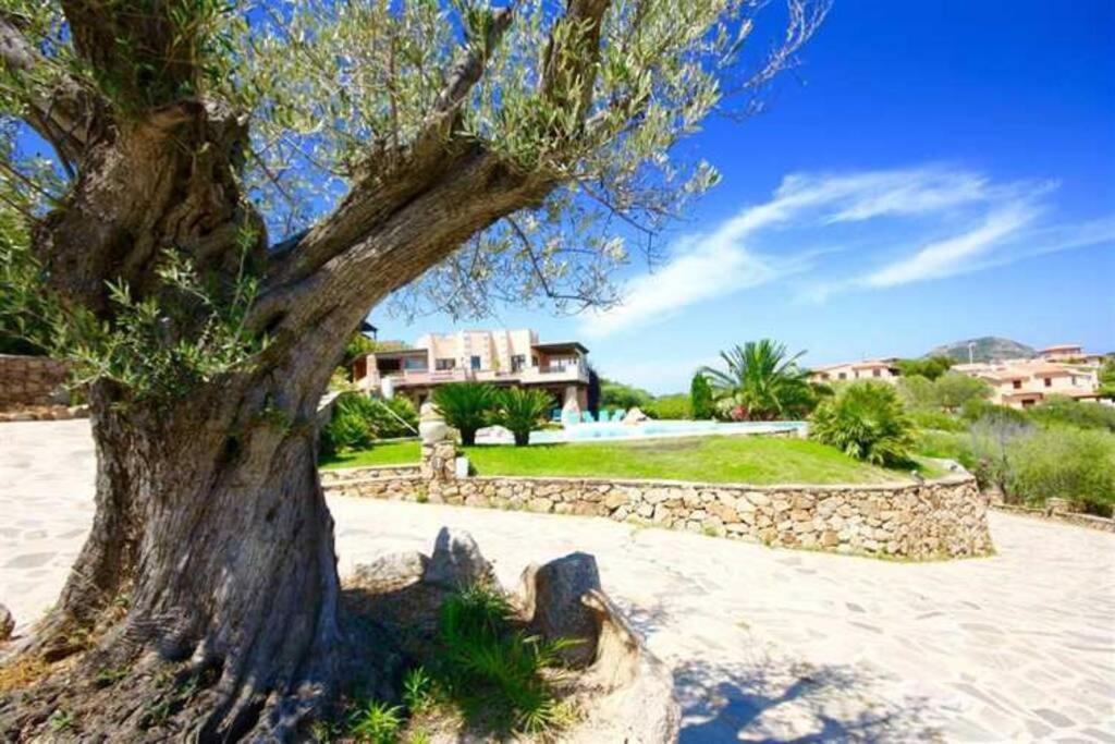 Villa And Pool Tavolara View Porto Istana Eksteriør billede