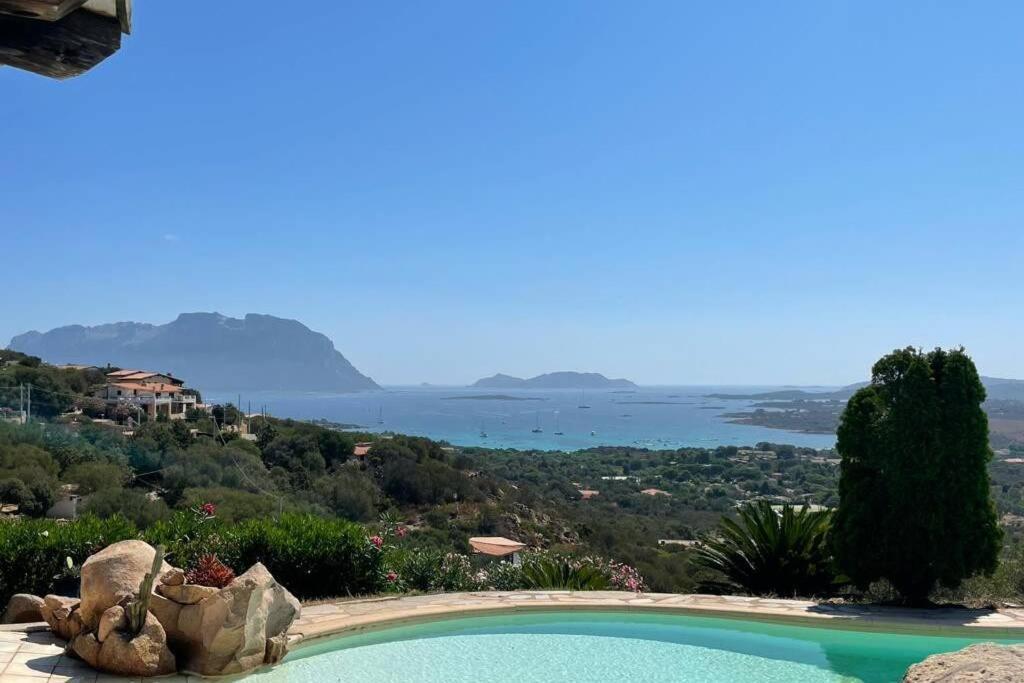 Villa And Pool Tavolara View Porto Istana Eksteriør billede